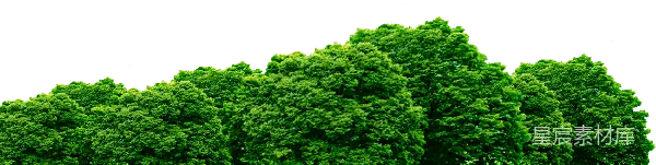 元素素材 翠绿森林