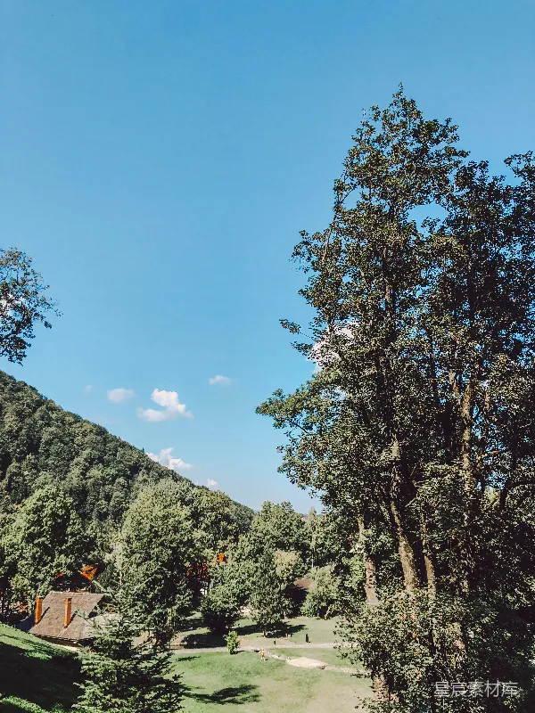 高清摄影 山中绿树映蓝天白日间