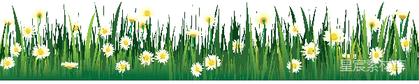 元素素材 春天的雏菊插图