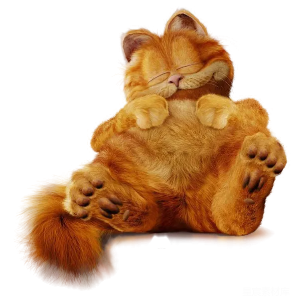 元素素材 蜷缩的橘猫