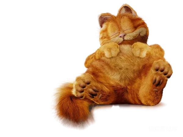 元素素材 慵懒的橘猫