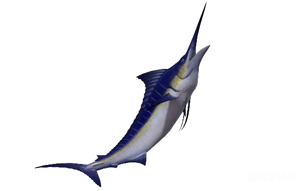 元素素材 蓝色剑鱼3D模型
