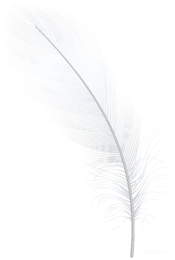元素素材 黑白羽毛插画