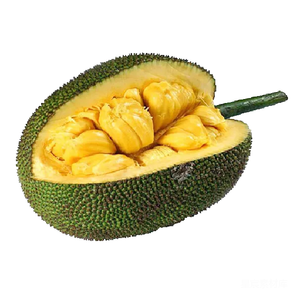 元素素材 新鲜菠萝蜜切开的特写