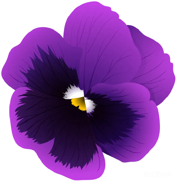 元素素材 紫色矢车菊