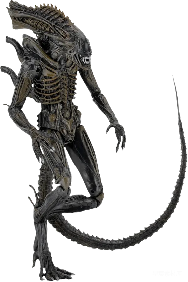 元素素材 异形生物模型