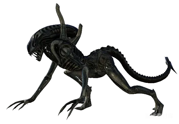 元素素材 异形生物
