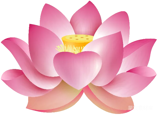 元素素材 粉红色的荷花