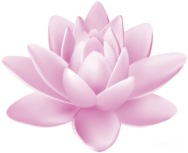 元素素材 粉色莲花插画