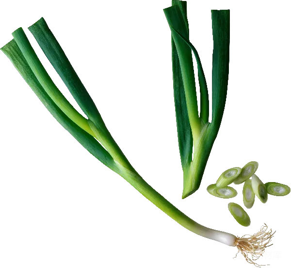 元素素材 新鲜葱花与切片