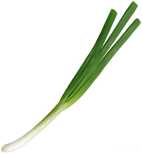 元素素材 葱