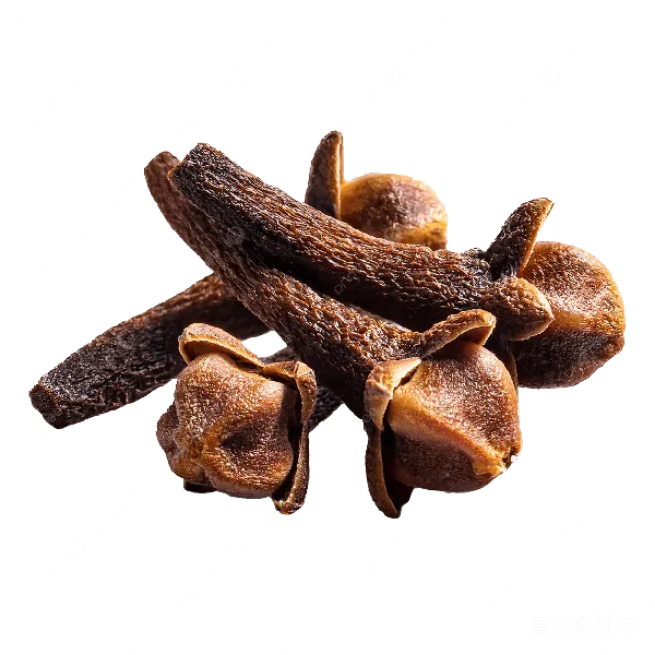 元素素材 丁香花干花食材拍摄