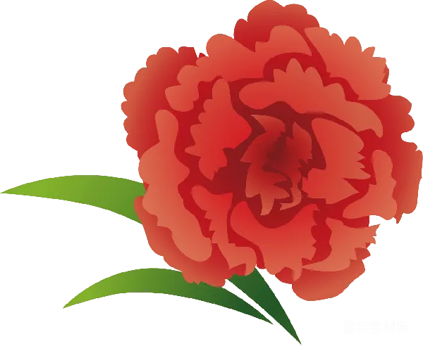 元素素材 红色康乃馨插画