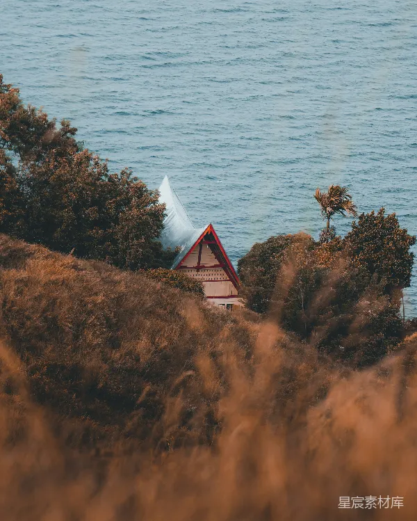 高清摄影 棕色和白色的房屋靠近湖泊白天的景象