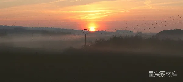 高清摄影 夕阳下的松树轮廓图象