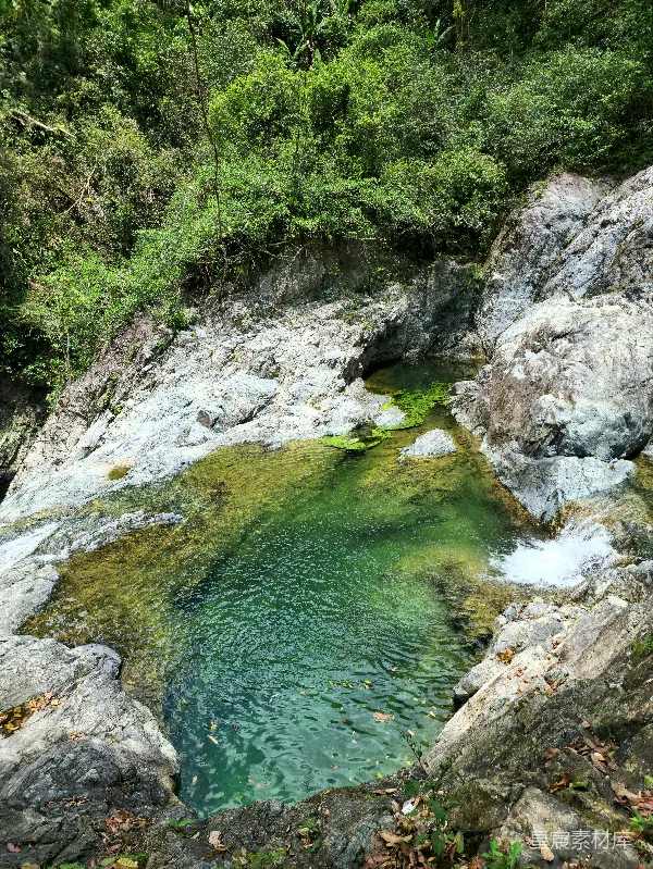 高清摄影 一洼水池被石头环绕着