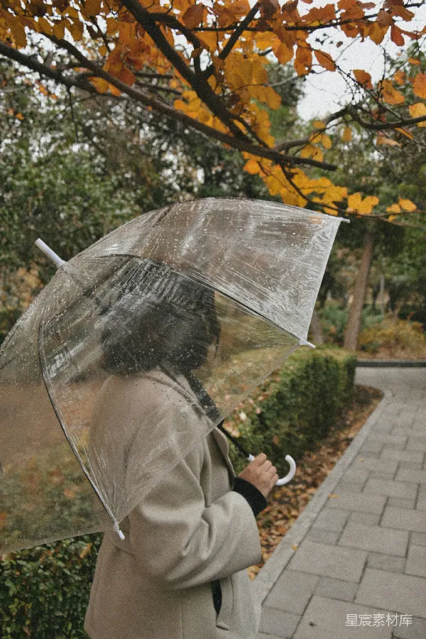 高清摄影 秋日雨中漫步
