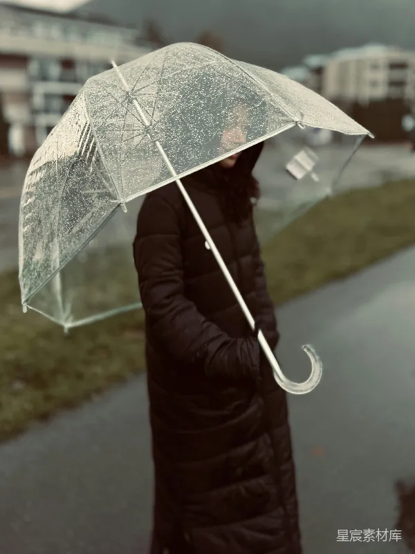 高清摄影 雨中漫步