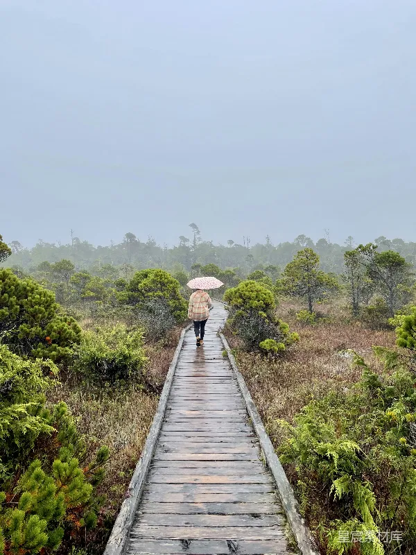 高清摄影 一个人手持雨伞走在一条木制走廊上