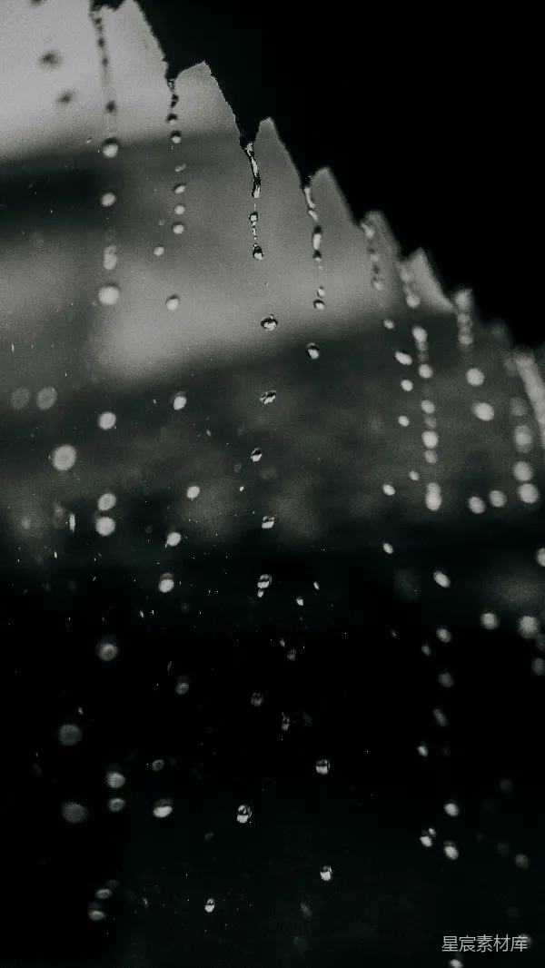 高清摄影 黑白照片中的雨滴落在窗户上