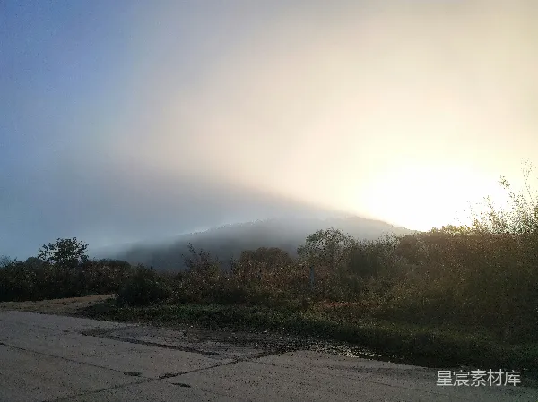 高清摄影 白天绿色树木近灰色混凝土路