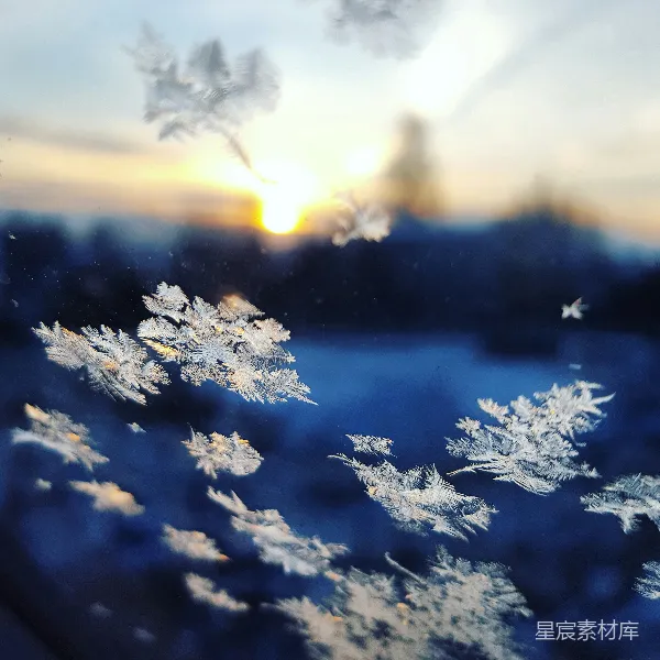 高清摄影 雪花的特写照片