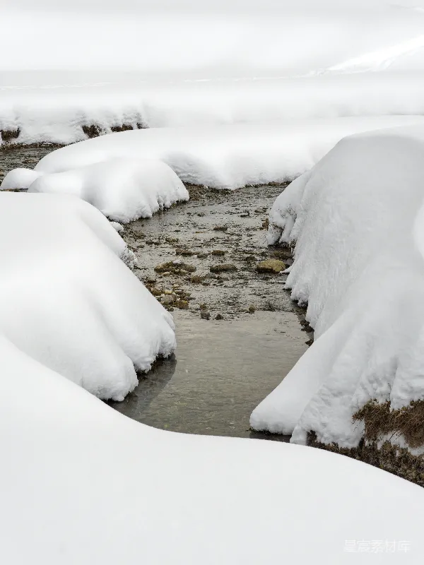 高清摄影 一条溪流穿过覆盖着白雪的森林