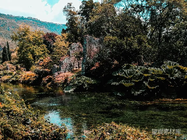 高清摄影 白天河边绿树成荫