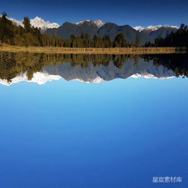高清摄影 湖边绿树白昼时