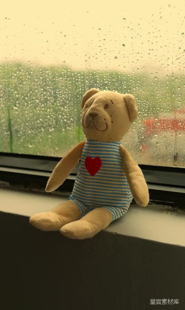 高清摄影 一个泰迪熊坐着，看着外面的雨。