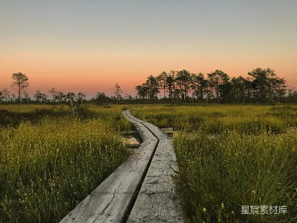 高清摄影 夕阳下绿色草地间一条灰色木制小径
