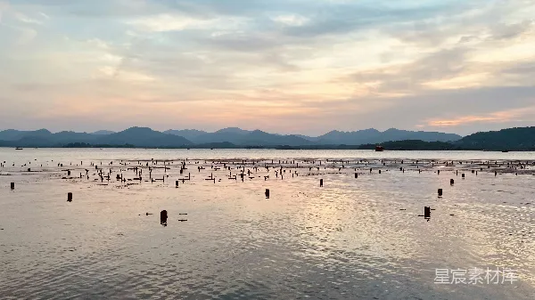 高清摄影 夕阳下的湖畔景色