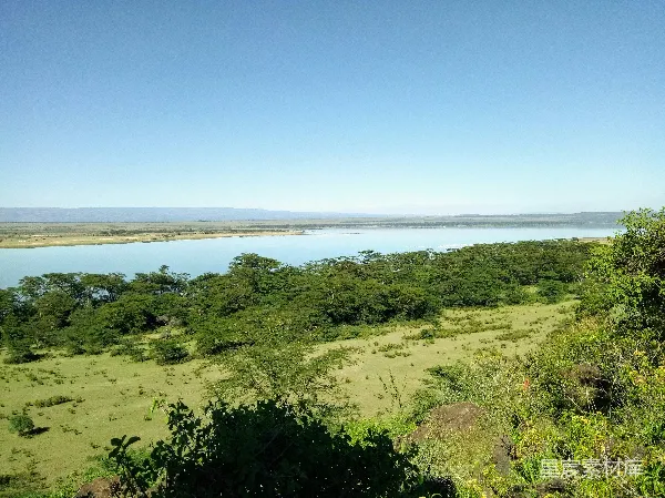 高清摄影 非洲草原湖泊全景