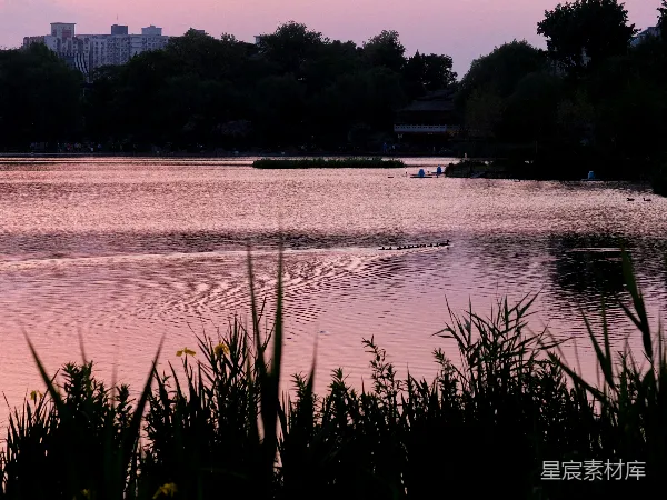 高清摄影 夕阳下的湖畔