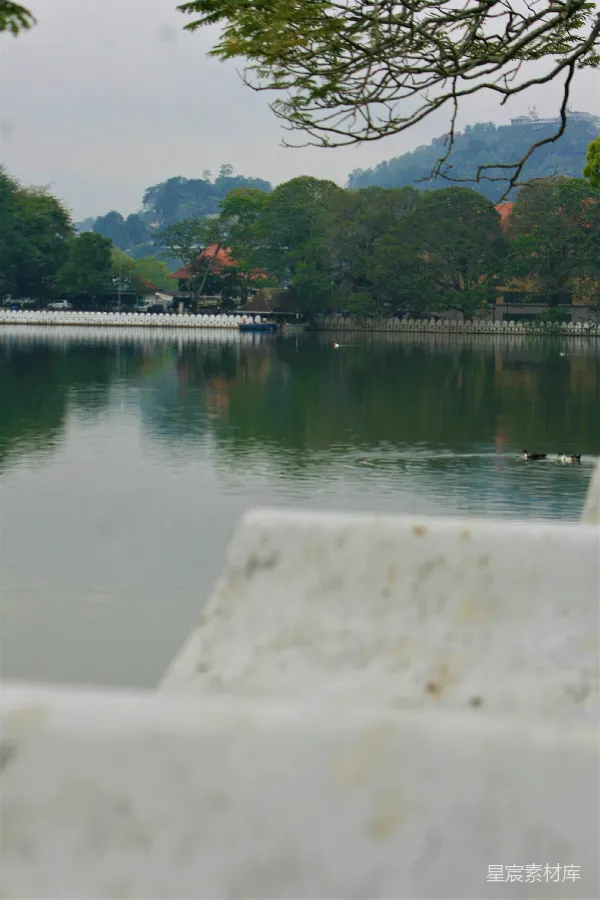 高清摄影 静谧湖畔的宁静时光