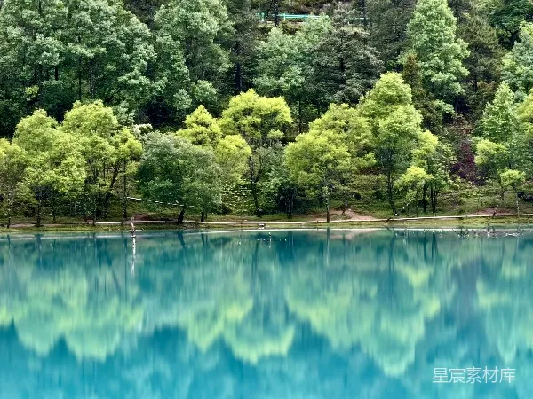 高清摄影 湖畔绿意盎然