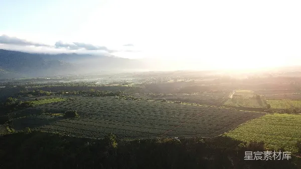 高清摄影 晨光中的稻田与山峦