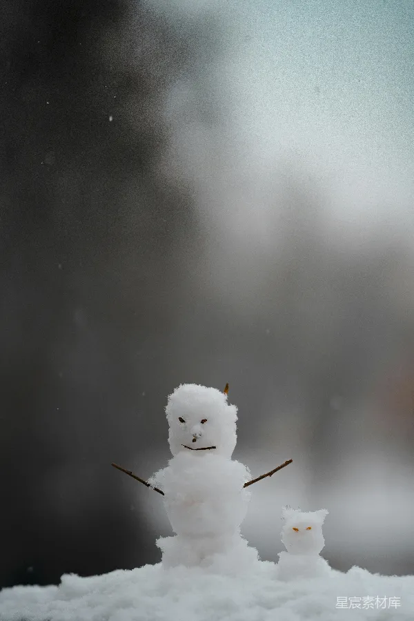 高清摄影 雪地里的小雪人与雪猫