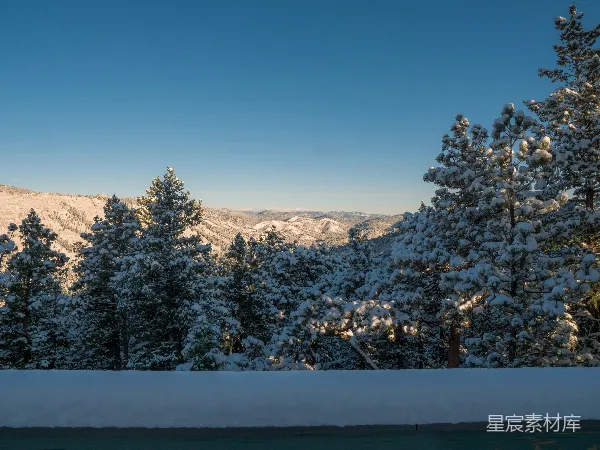 高清摄影 冬日山景：白雪覆盖的松树林