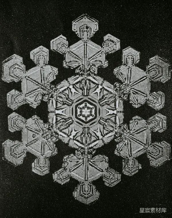 高清摄影 雪花晶体