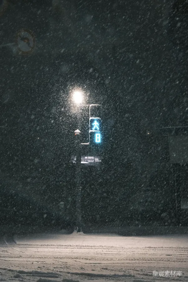 高清摄影 雪夜中的绿灯