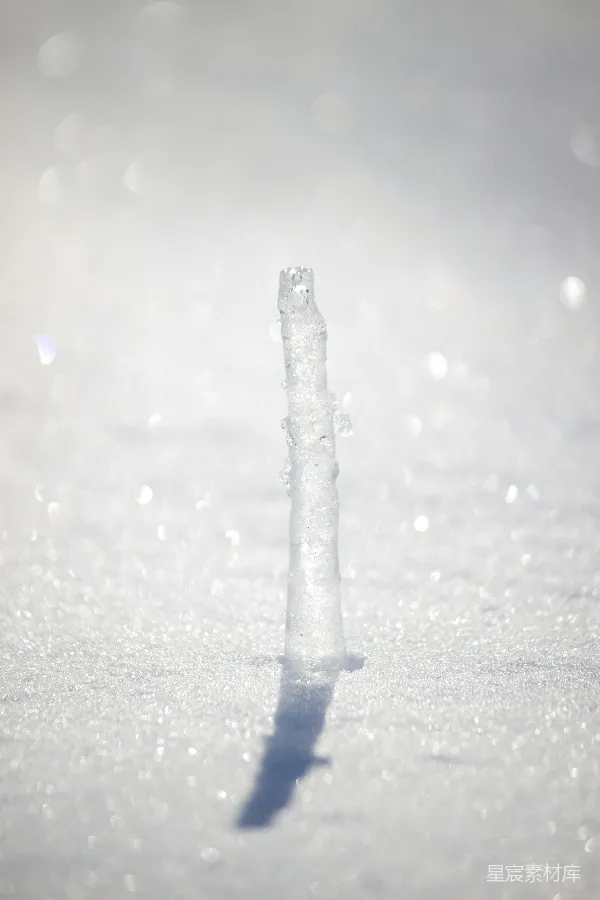 高清摄影 雪中的冰柱
