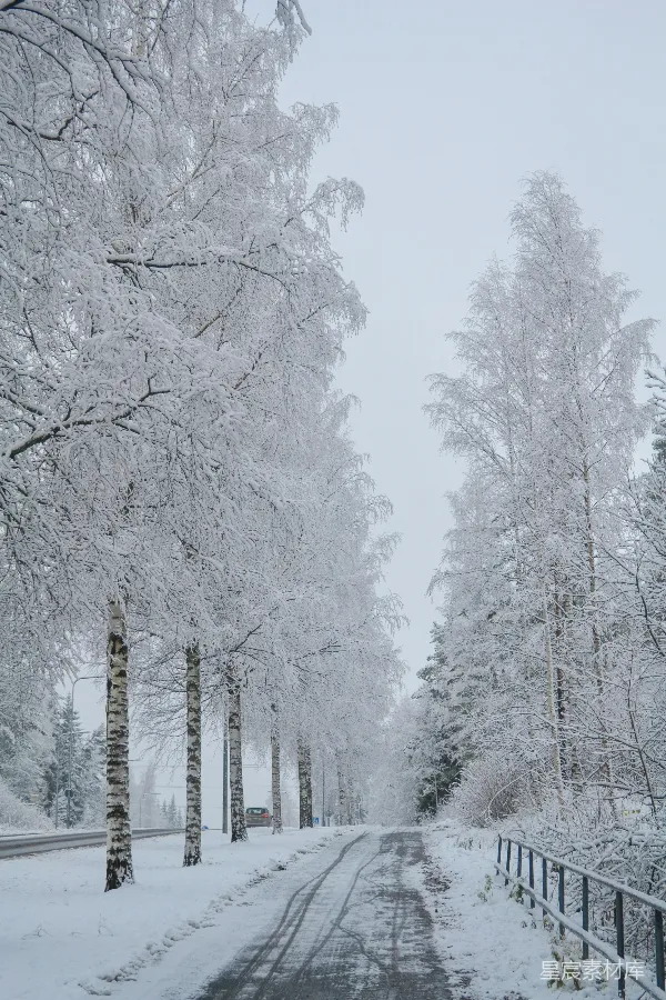 高清摄影 冬日雪景中的静谧乡间小路