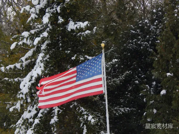 高清摄影 雪地中的美国国旗