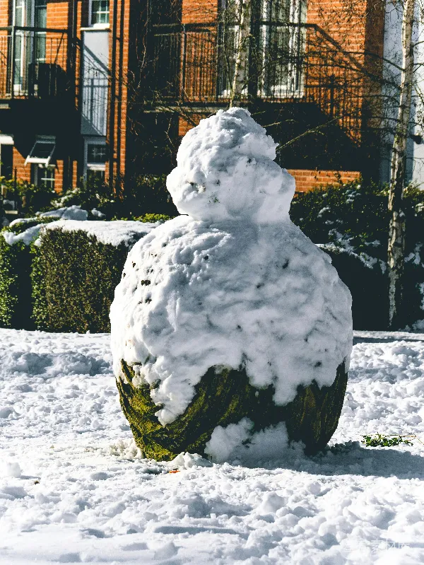 高清摄影 冬日的雪人