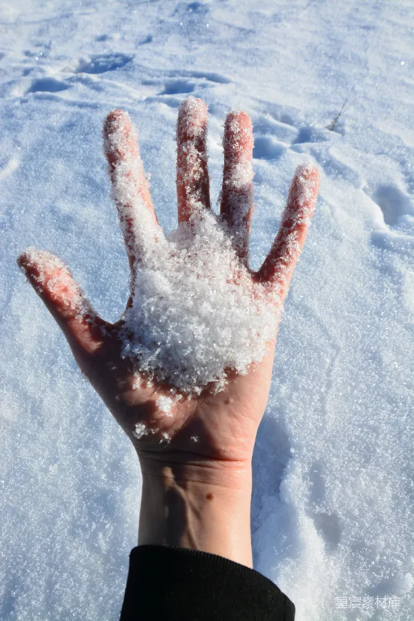 高清摄影 手心上的雪花