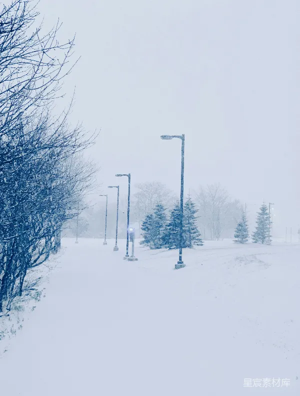 高清摄影 雪中的街灯