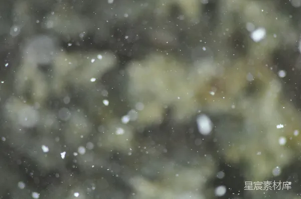 高清摄影 飘落的雪花