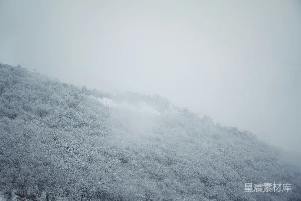 高清摄影 雾中山林