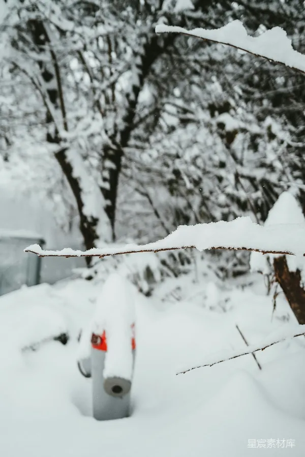 高清摄影 雪景中的雪人